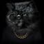 Mr.CaT