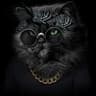 Mr.CaT