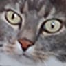 FET