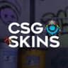 Alin | SKINS | CS2SKINS.GIFT