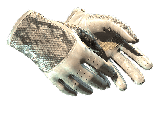 ★ Driver Gloves | King Snake (Minimal Wear)