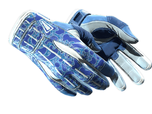 ★ Sport Gloves | Amphibious (Minimal Wear)