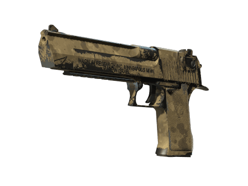 Desert Eagle | Mudder (Well-Worn)