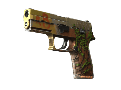 P250 | Inferno (Well-Worn)