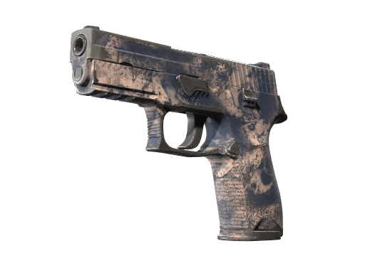 P250 | Drought (Well-Worn)