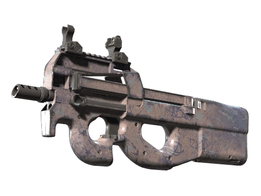 P90 | Wash me (Well-Worn)
