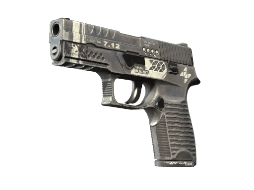 P250 | Re.built (Field-Tested)