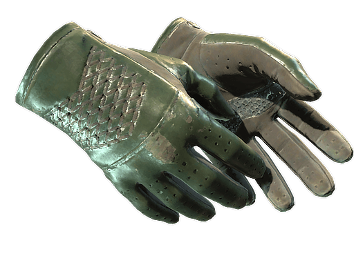 ★ Driver Gloves | Racing Green (Well-Worn)