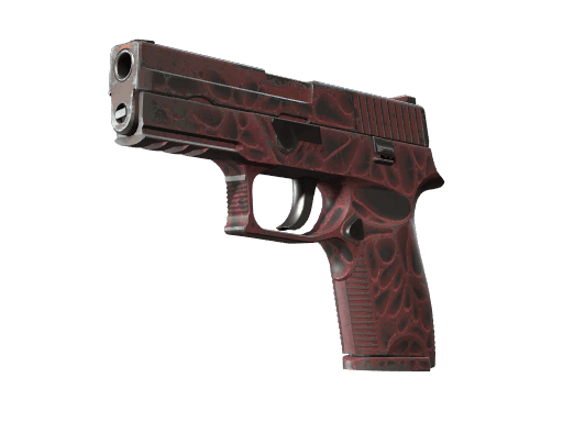 StatTrak™ P250 | Contaminant (Well-Worn)