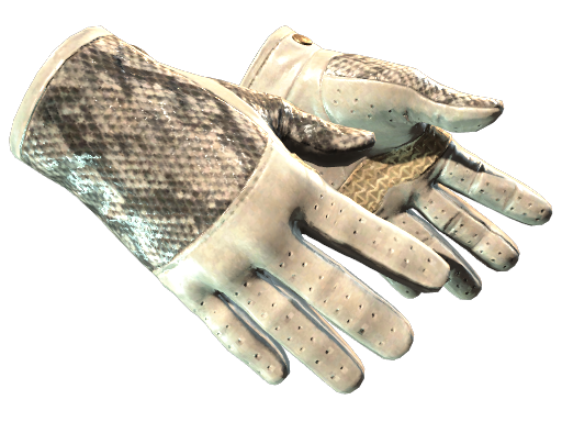 ★ Driver Gloves | King Snake (Minimal Wear)
